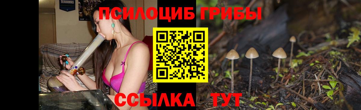 Галлюциногенные грибы MAGIC MUSHROOMS Оренбург